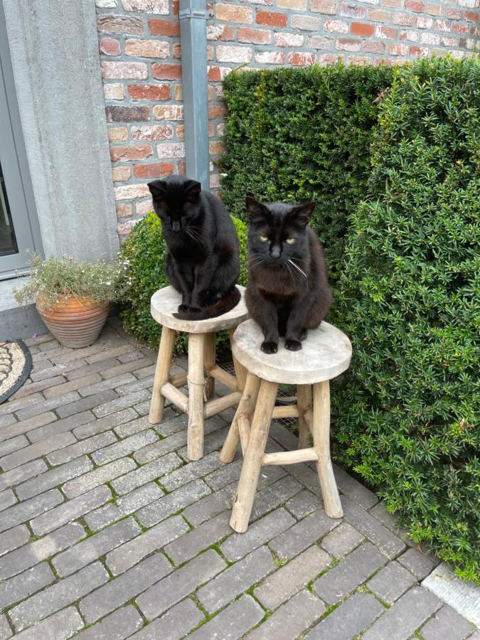 Parel Van Bever - Perle De Bievene Luaran gambar