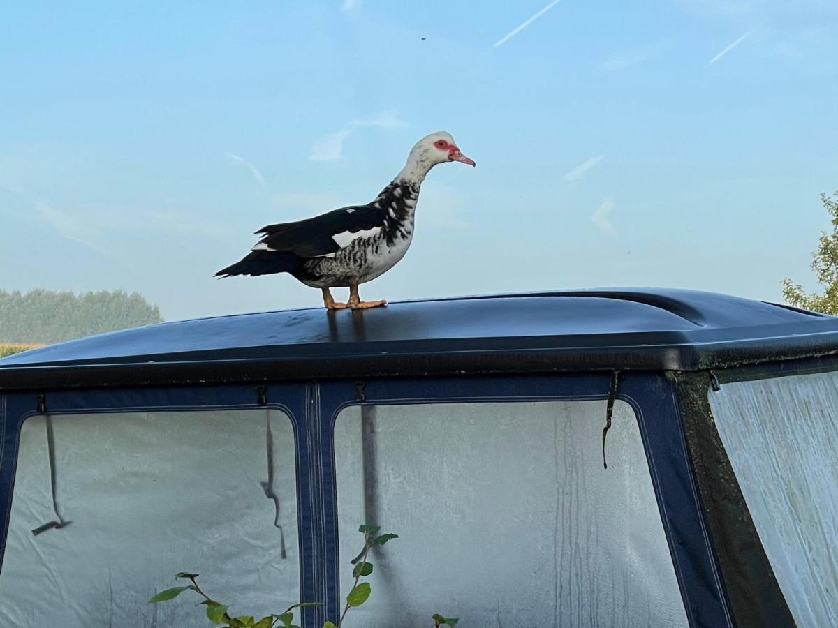Parel Van Bever - Perle De Bievene Luaran gambar